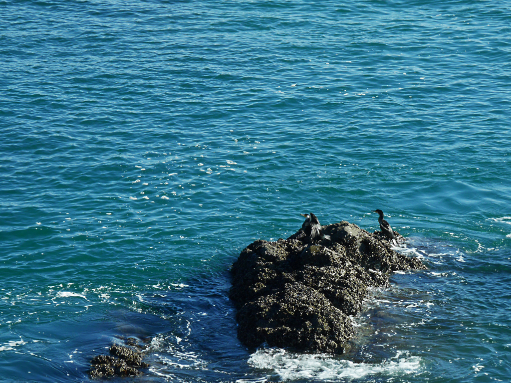 贅沢に海水浴