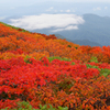 色・鮮やか