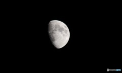 綺麗に撮れたかな(´・ω・`)