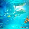 海遊館