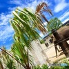 動物園