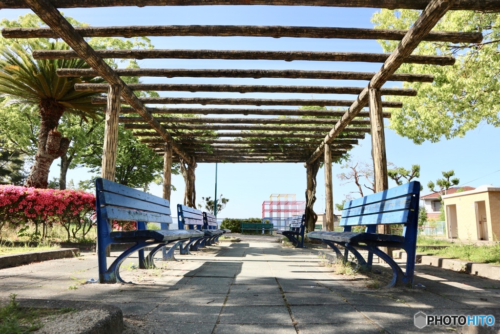 公園とベンチ