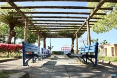 公園とベンチ