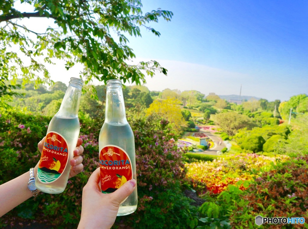 いい天気に乾杯