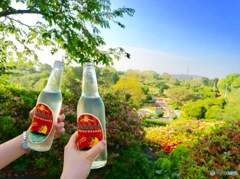 いい天気に乾杯