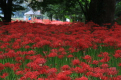 七ツ森古墳群