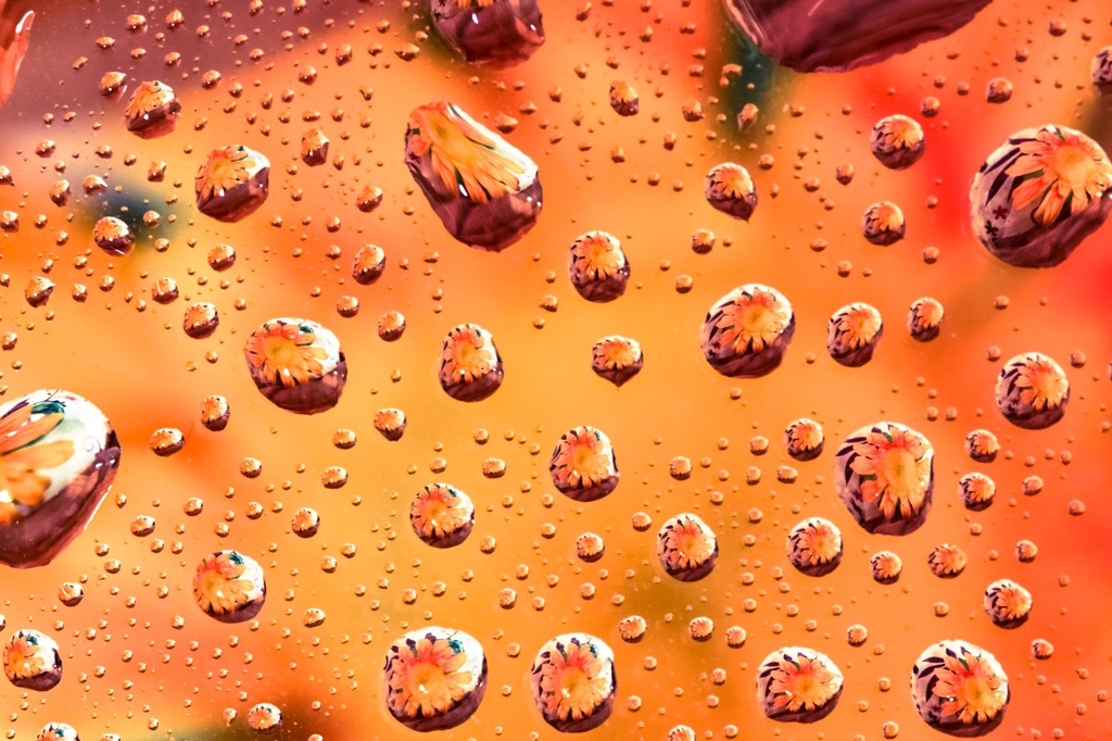 水滴の花畑