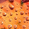 水滴の花畑
