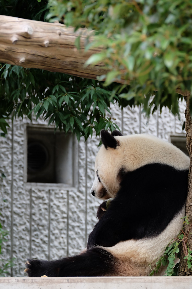 もう疲れたよ。。。