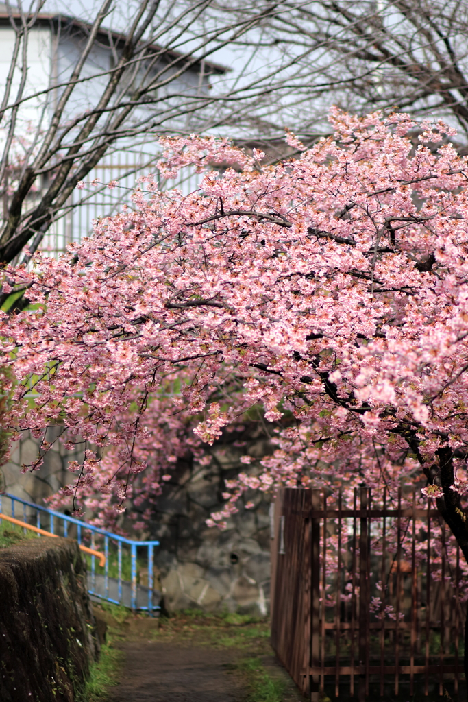 トンネル