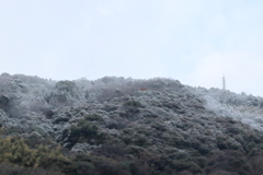 雪化粧