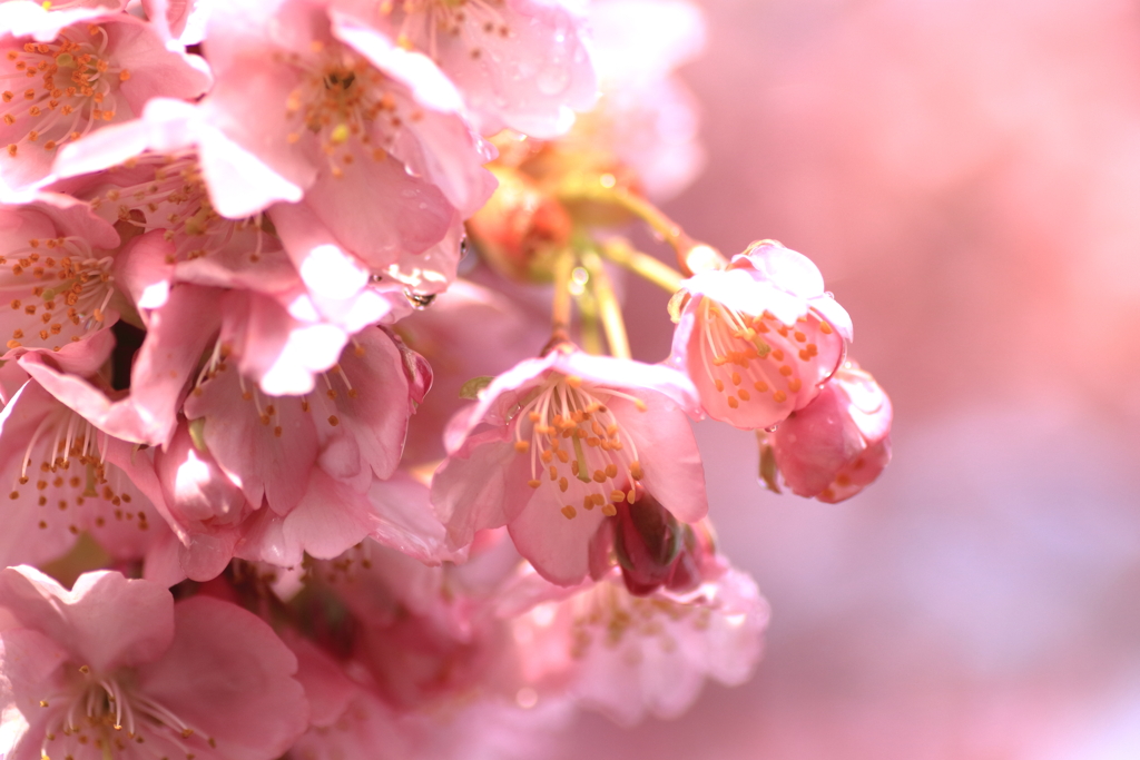 034