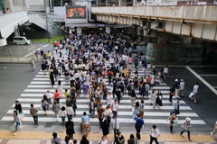 横断歩道