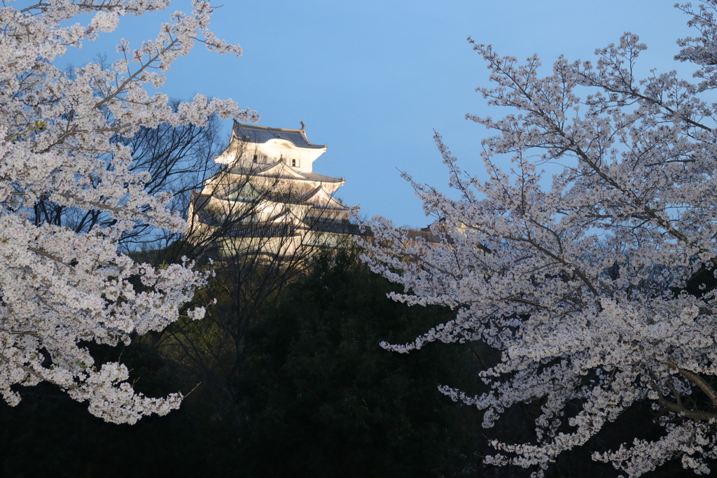 姫路城6