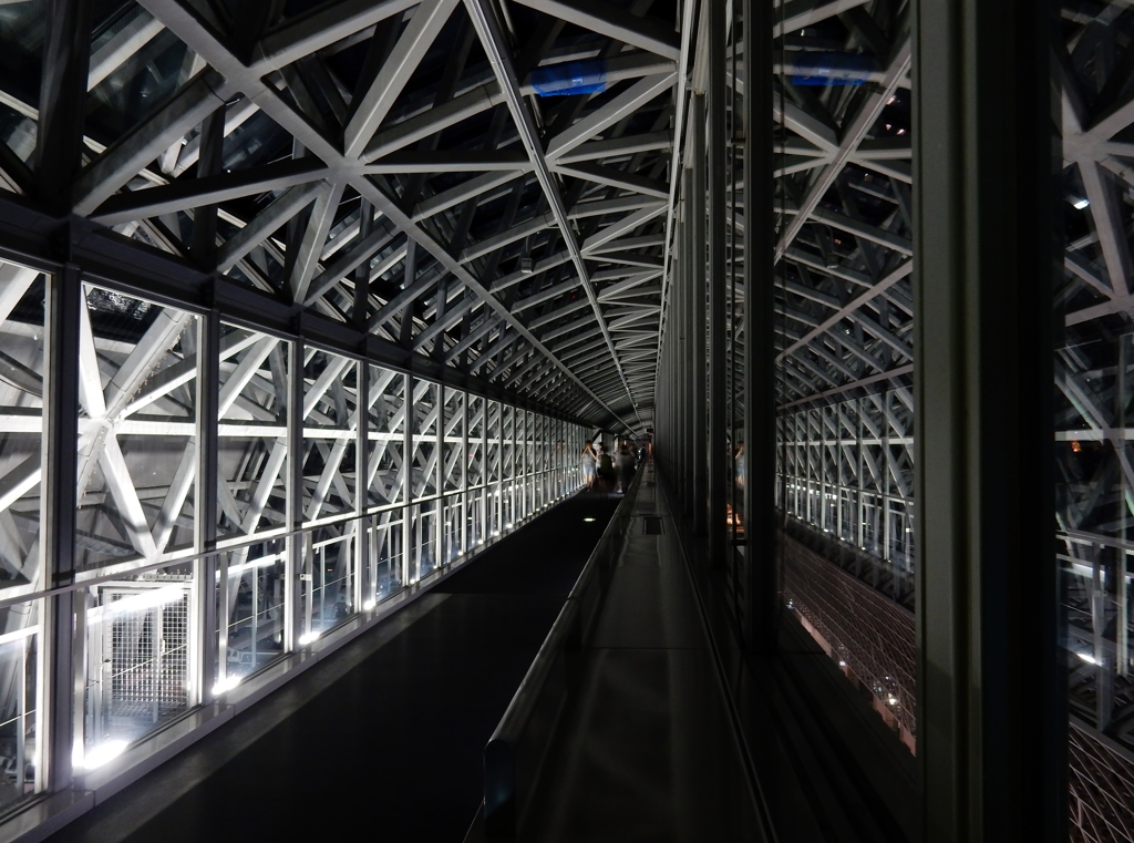 空中経路