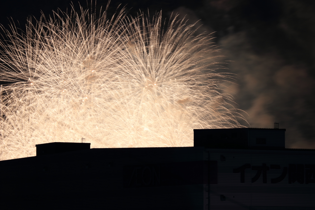 梅雨空を彩る⑱