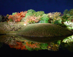 池に映る景色