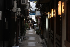 柳小路