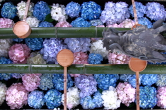 花手水