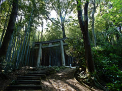 登山道