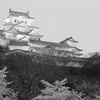 姫路城1