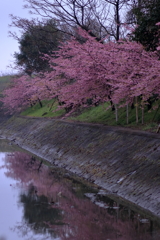 水面