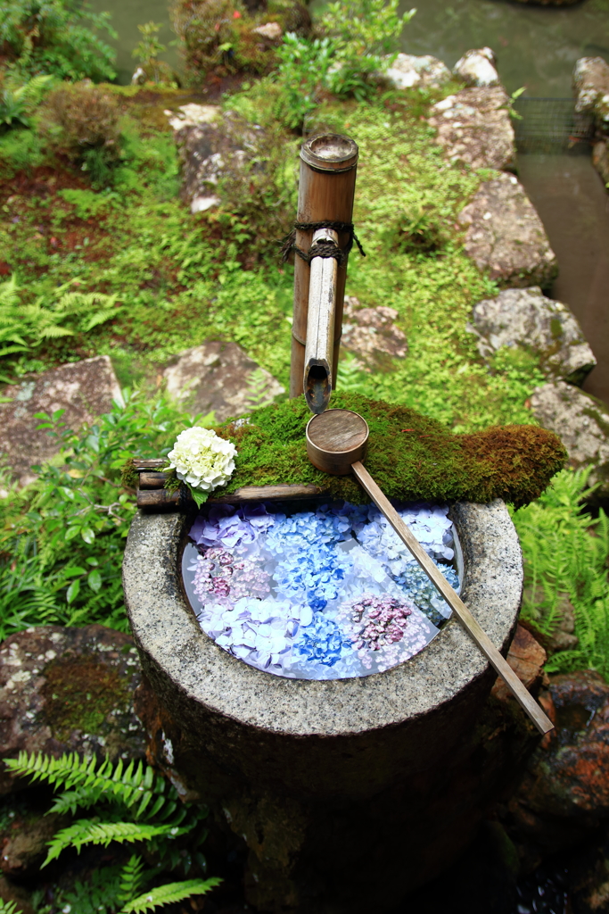 花手水