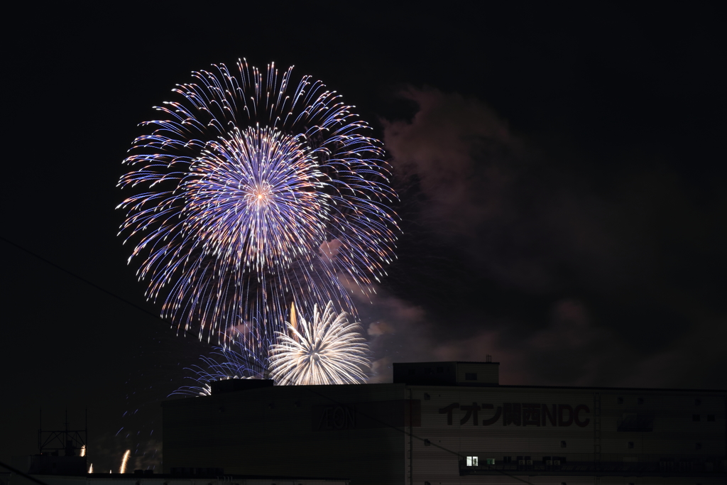 梅雨空を彩る⑬