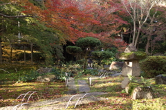 庭園