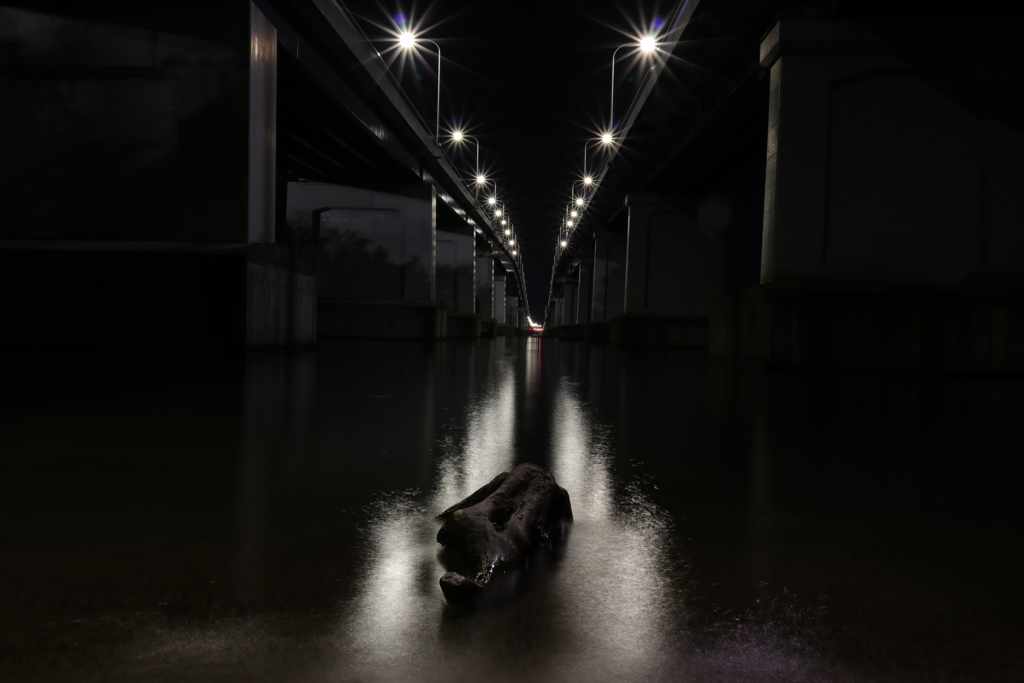 琵琶湖大橋2