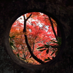 穴の向こうが