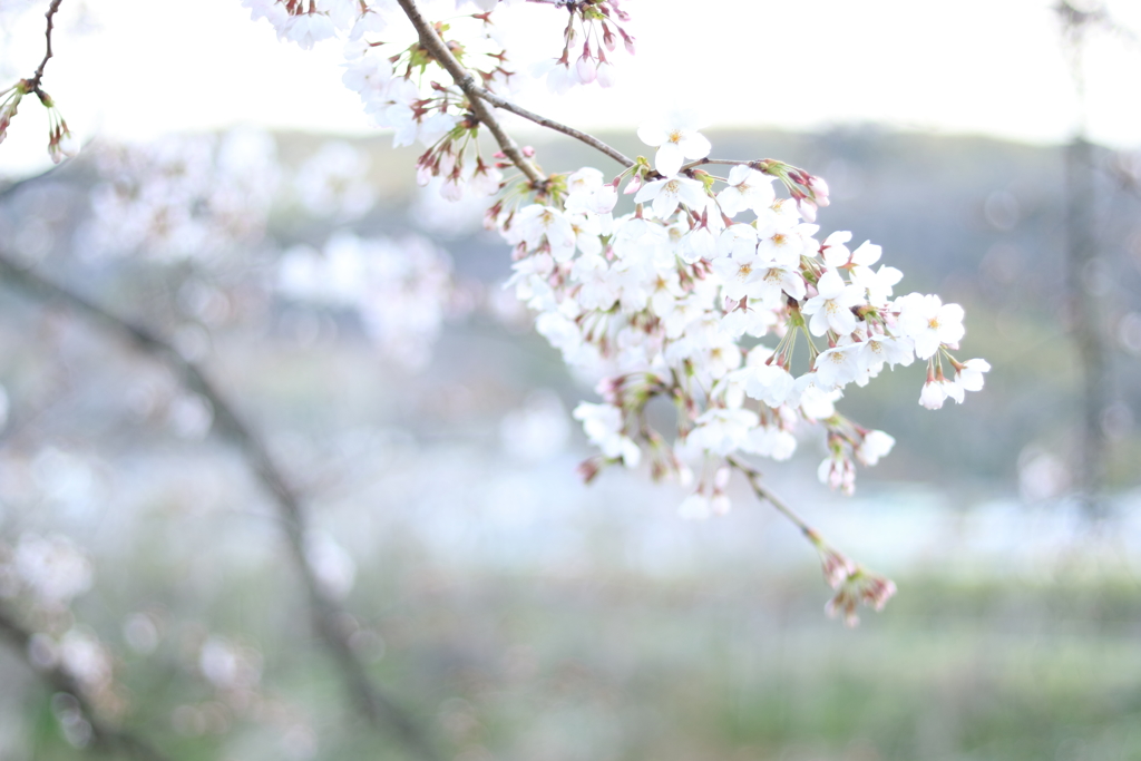 天王山