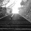 参道