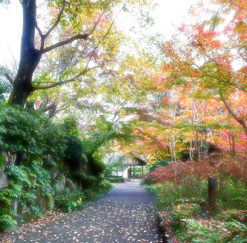 東屋