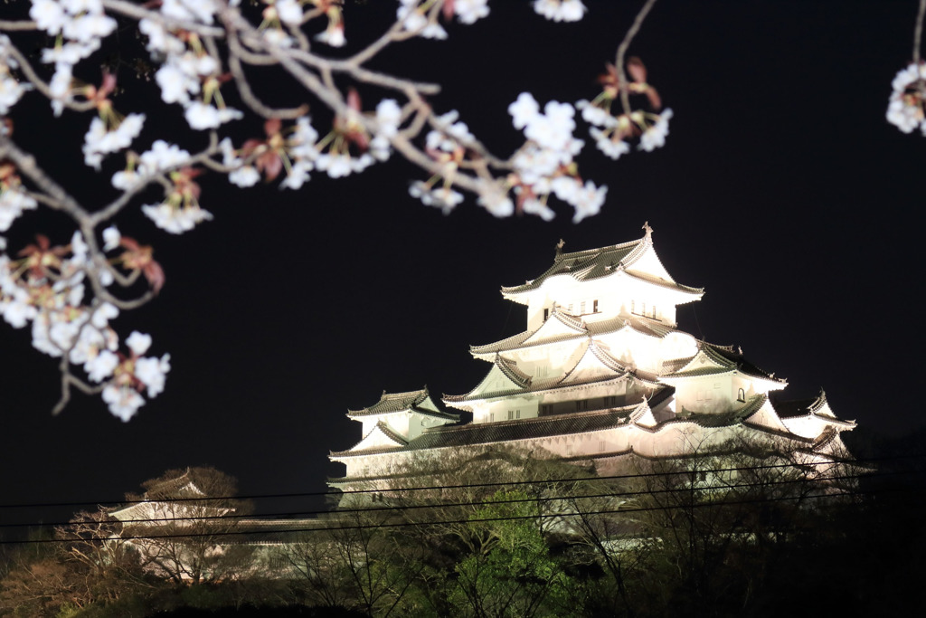 姫路城3
