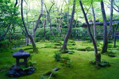 祇王寺
