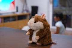 時を待って