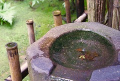 祇王寺 その3