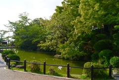 清水寺の池
