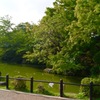 清水寺の池