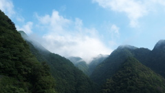 山の息吹