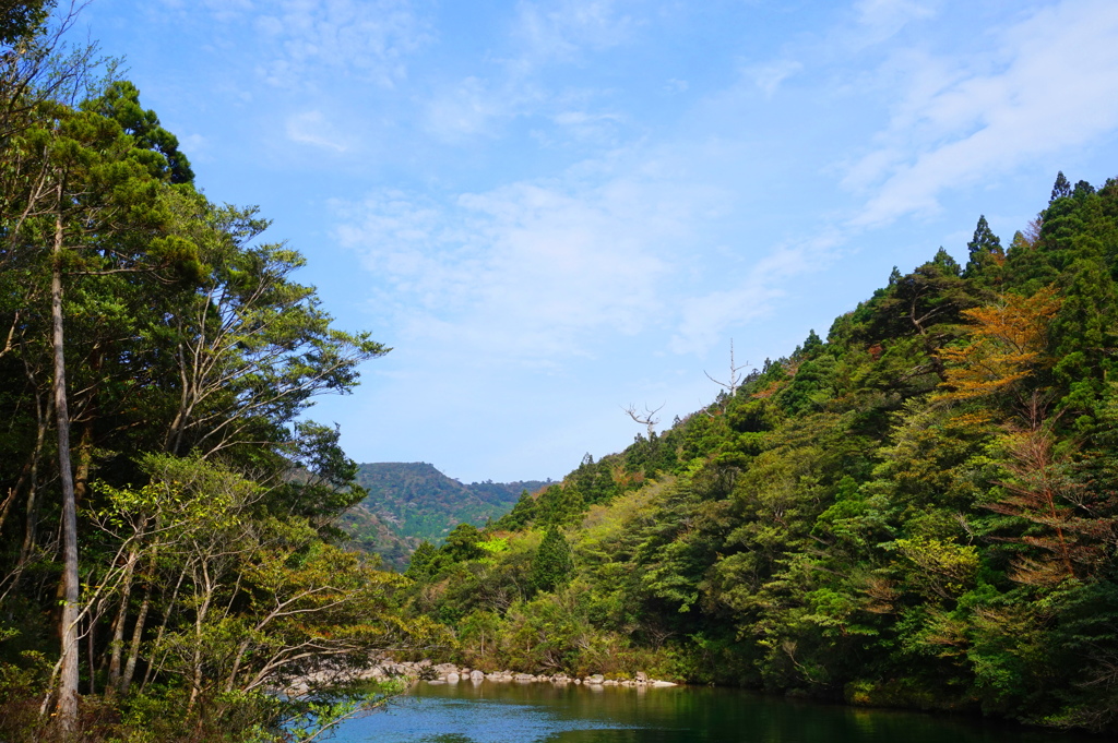 屋久島より