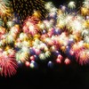 冬空に咲く花