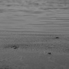 WATERSCAPE