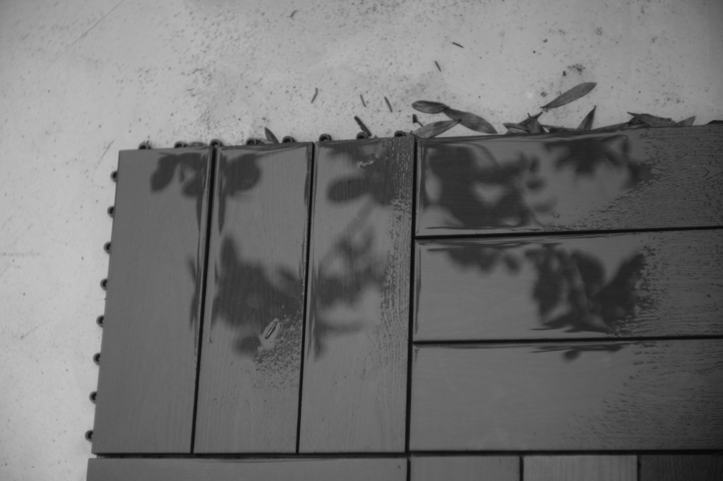 雨上がり