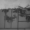 雨上がり