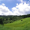 大山千枚田