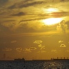 江川海岸 