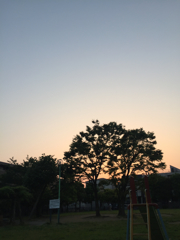 夕方の公園