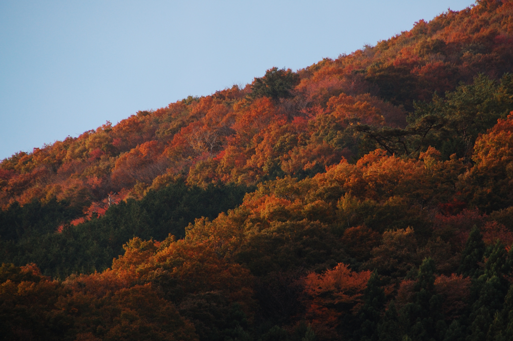 紅葉の山